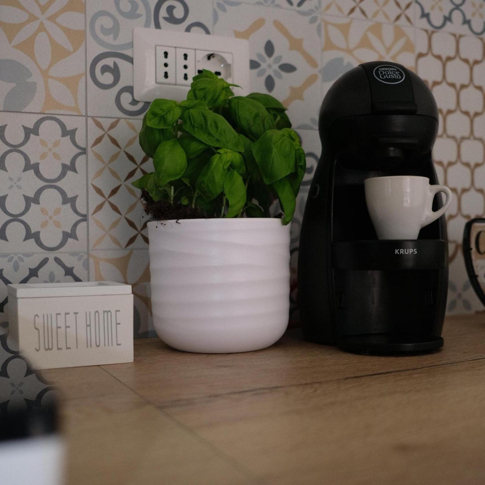 Augusto'S House B&B ローマ エクステリア 写真
